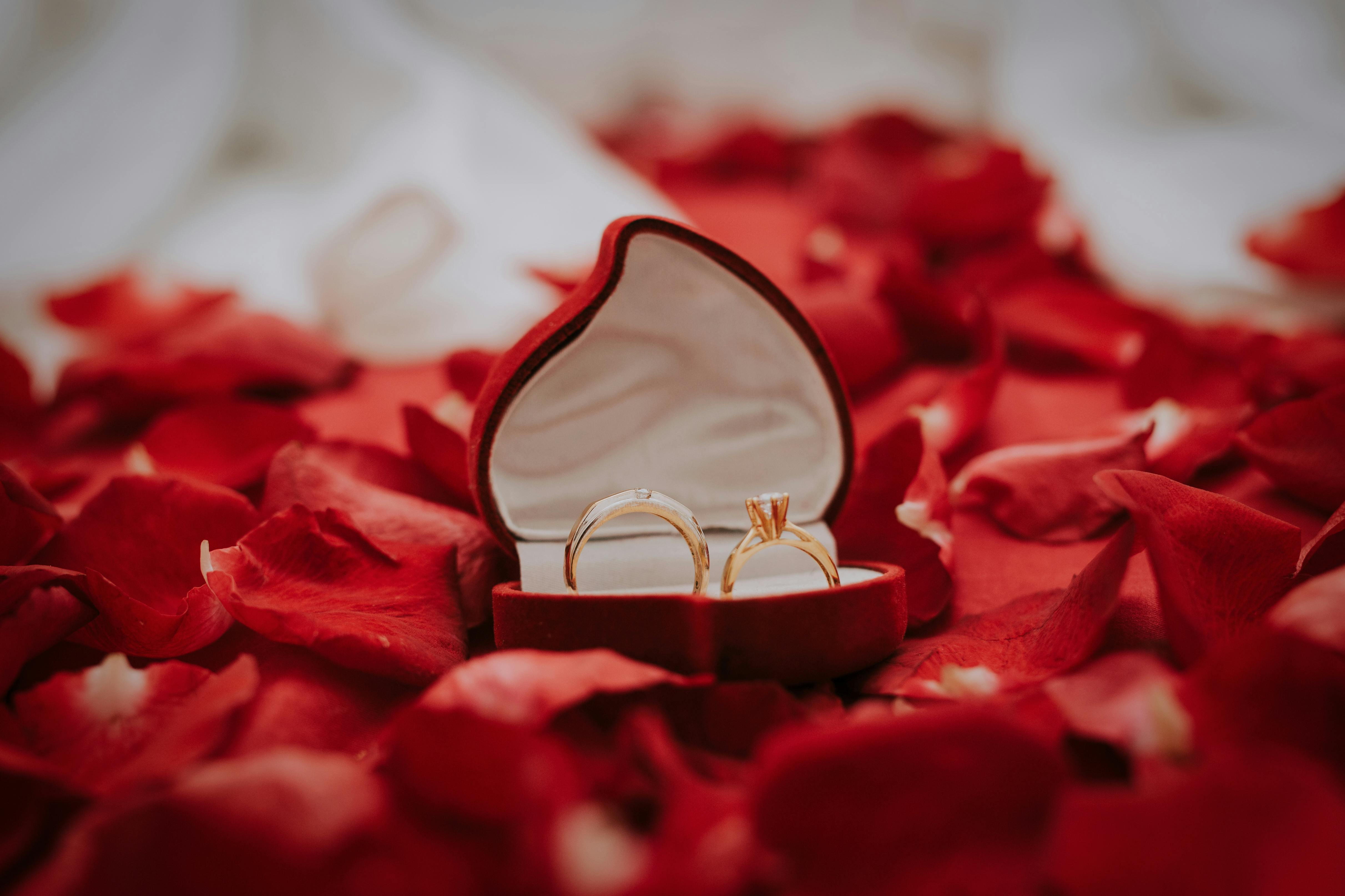 Wedding & Anniversary